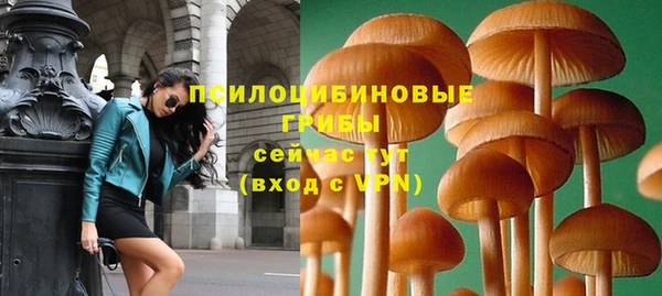 дмт Алексин